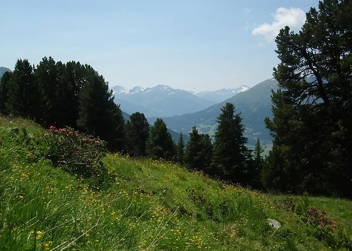 Apartment Schöpf Jerzens